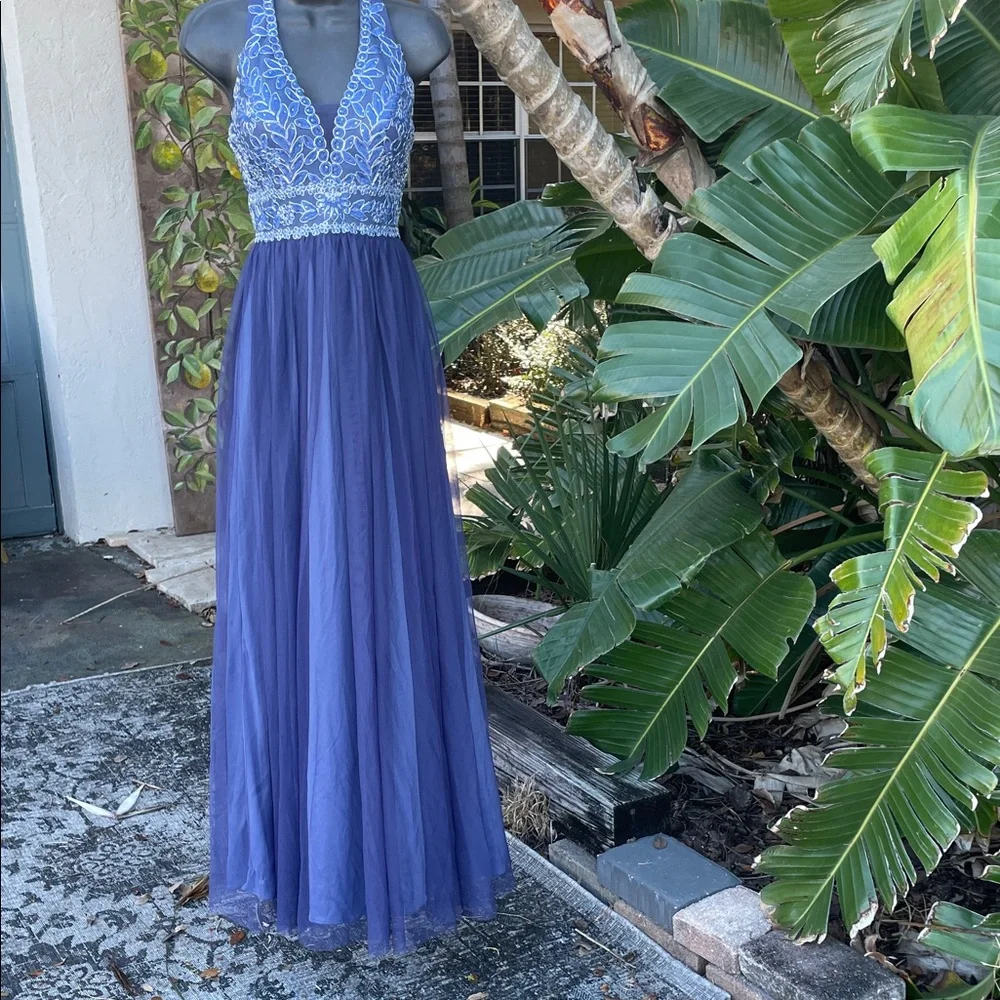 Blondie Nites beautiful dress